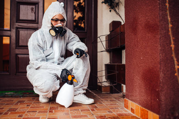 Reliable Cockroach Control contractor in West Islip, NY by Nex Pest Control